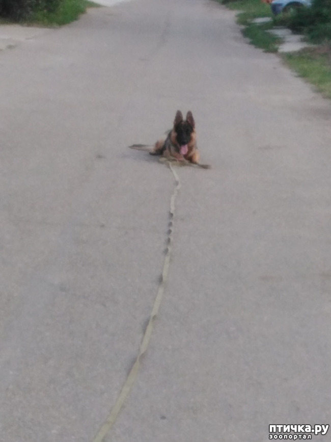 ���� 2: ���������������� ����������� ���������� �����