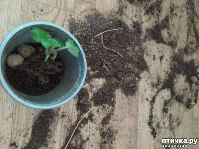 ���� 4: ��� ���������