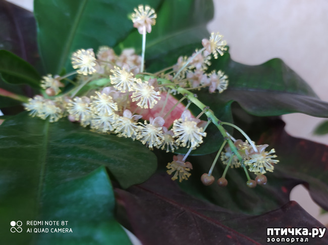 ���� 5: ��� ���������