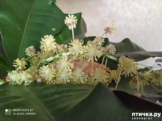 ���� 6: ��� ���������