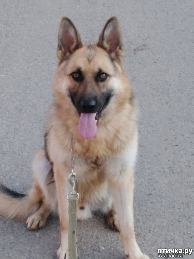 ���� 3: ���������������� ����������� ���������� �����