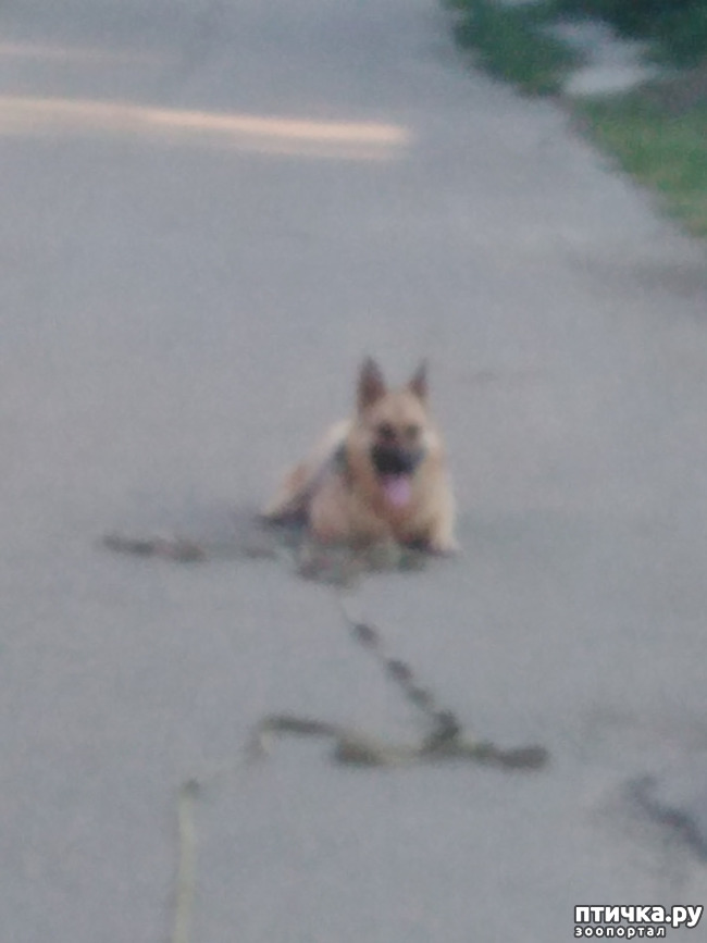 ���� 4: ���������������� ����������� ���������� �����