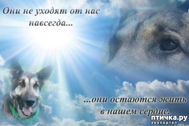 ���� 1: ����� ������������: ������ ����� ��������?