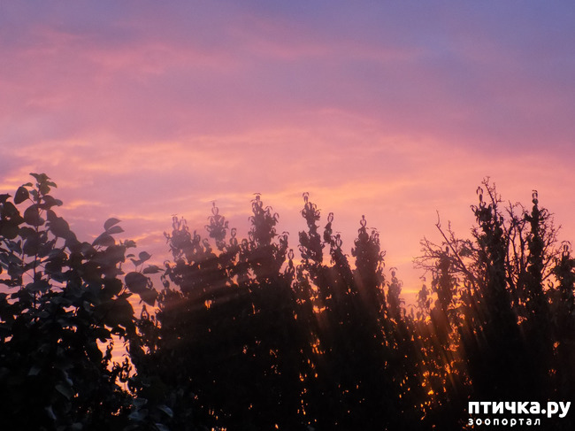 ���� 2: ����� ����������� ���.