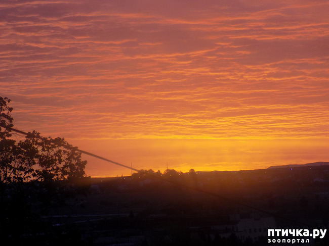 ���� 4: ����� ����������� ���.