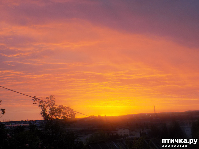 ���� 5: ����� ����������� ���.