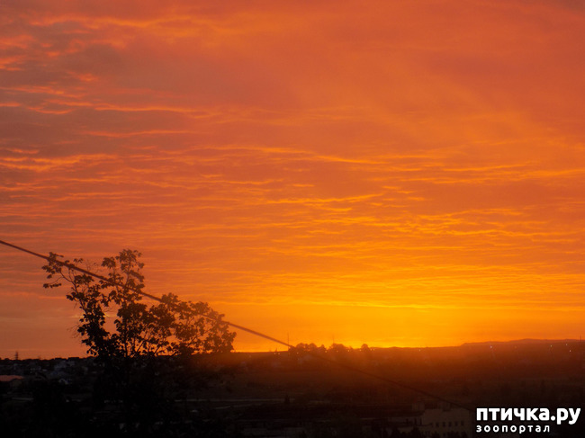 ���� 6: ����� ����������� ���.