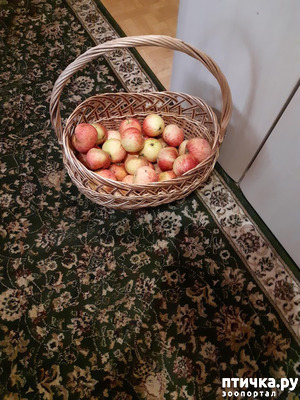 ����: ���������� ������������� ��������