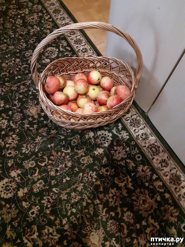 ���� 1: ���������� ������������� ��������