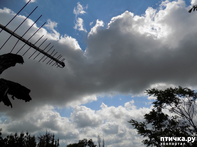 ���� 7: ����� ����������� ���.