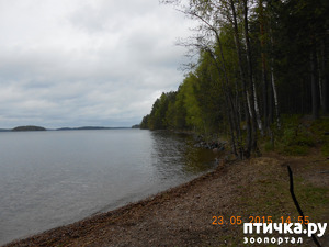 ����: ������ �� ����������