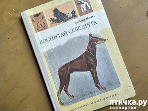 фотография: Читаем раритет... Виталий Нечаев " Воспитай себе друга" фото: Читаем раритет... Виталий Нечаев " Воспитай себе друга"