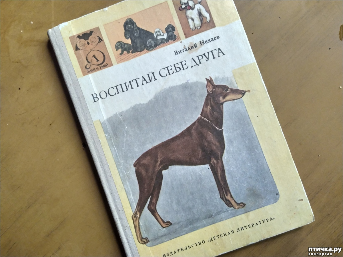 Воспитай себе друга. Книга Нехаев воспитай себе друга. Книга про добермана Айка.