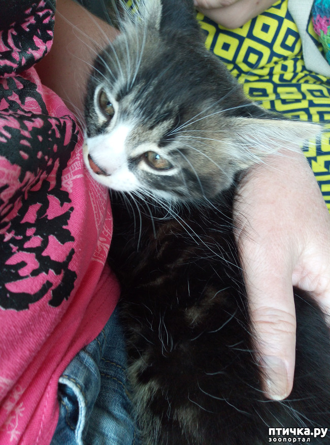 ���� 1: ������ �� �����