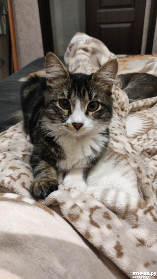 ���� 3: ������ �� �����