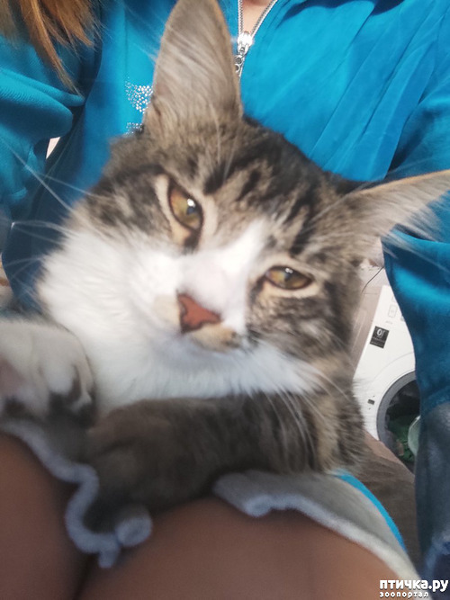 ���� 4: ������ �� �����