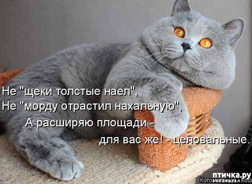  23:    