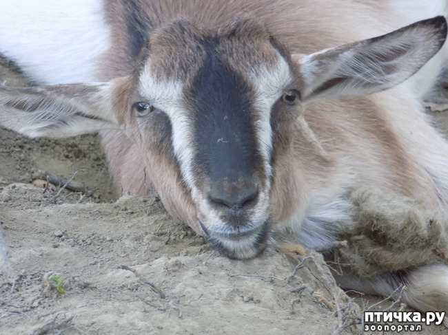 ���� 17: ����� ����������� ���.