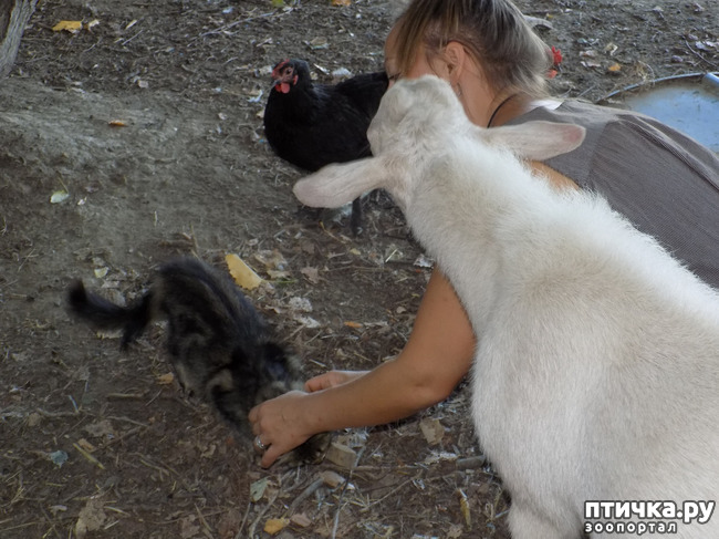 ���� 18: ����� ����������� ���.