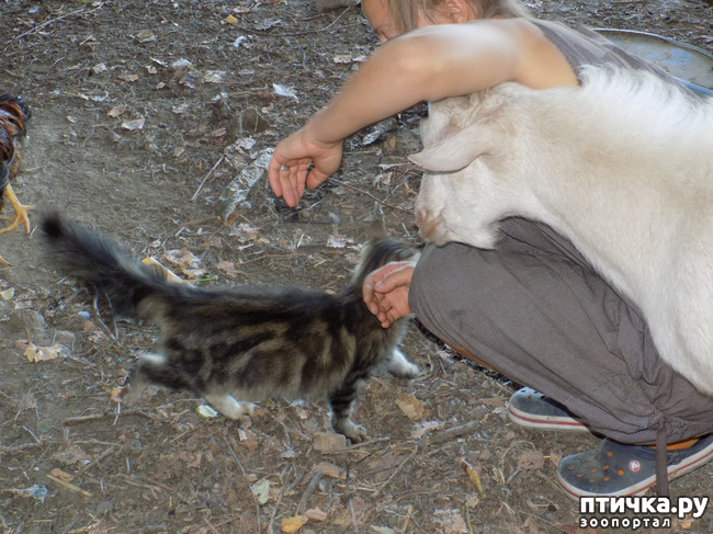 ���� 19: ����� ����������� ���.