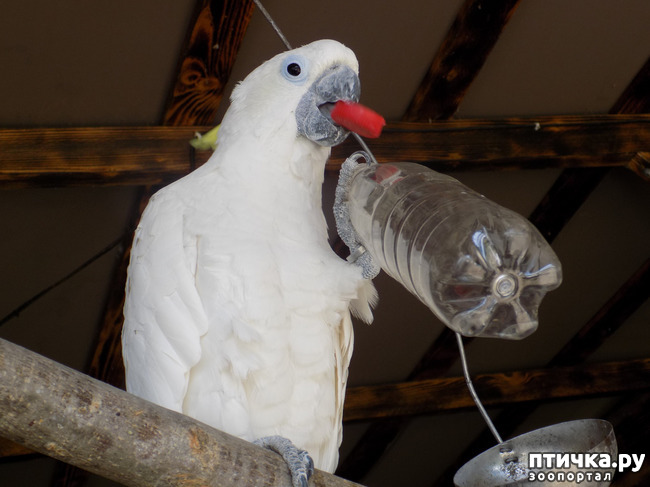 ���� 21: ����� ����������� ���.