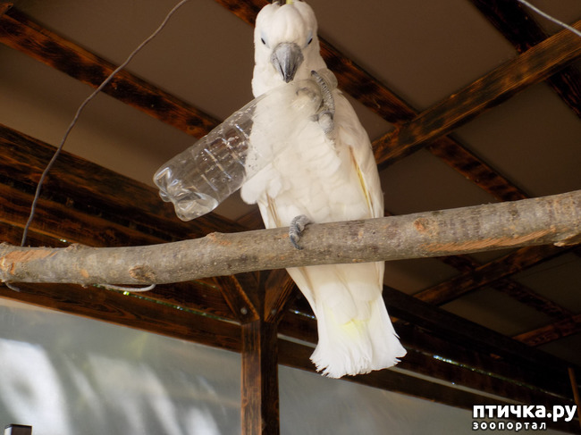 ���� 22: ����� ����������� ���.