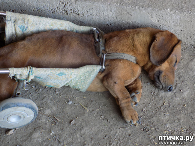 ���� 24: ����� ����������� ���.