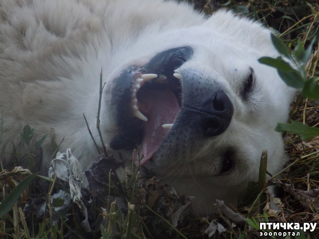 ���� 23: ����� ����������� ���.