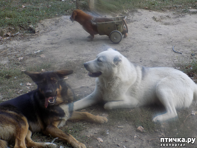 ���� 25: ����� ����������� ���.