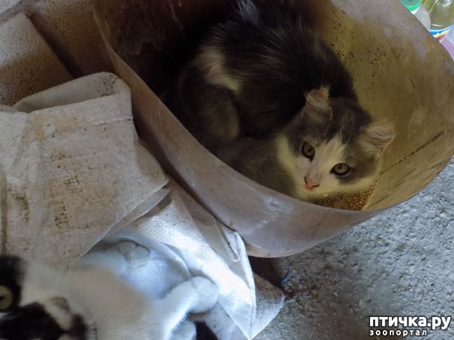 ���� 27: ����� ����������� ���.