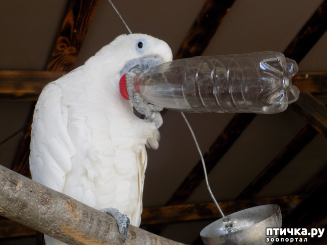 ���� 20: ����� ����������� ���.