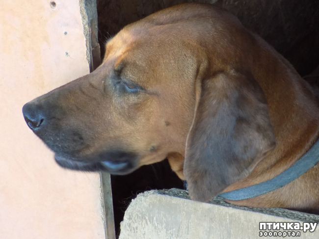 ���� 30: ����� ����������� ���.