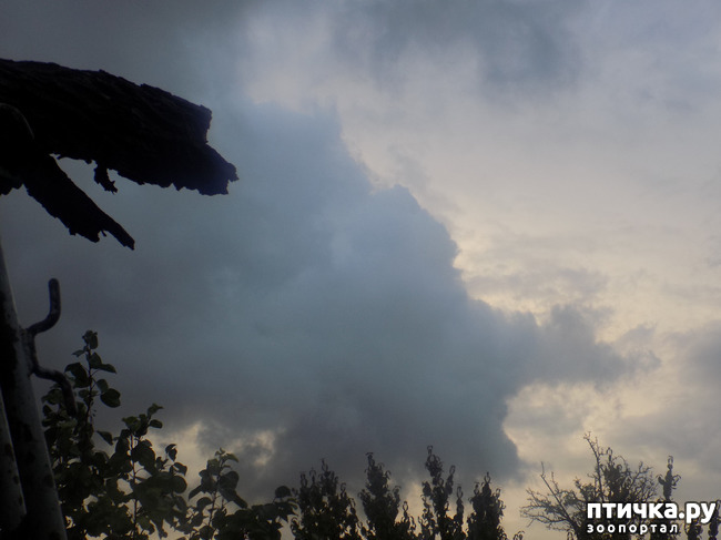 ���� 8: ����� ����������� ���.