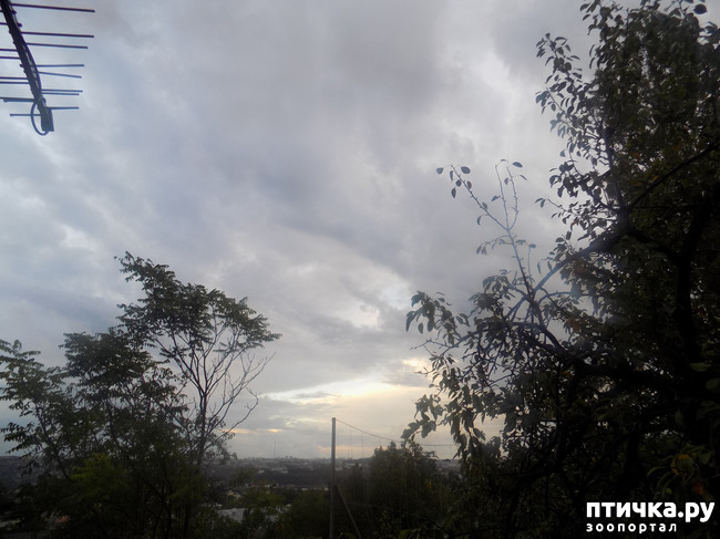 ���� 9: ����� ����������� ���.