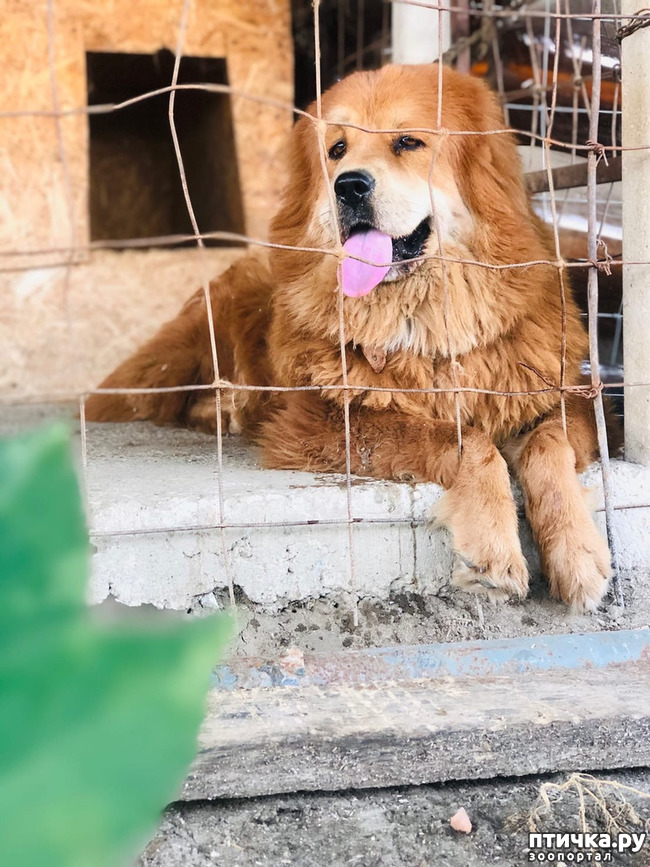 ���� 10: ����� ����������� ���.