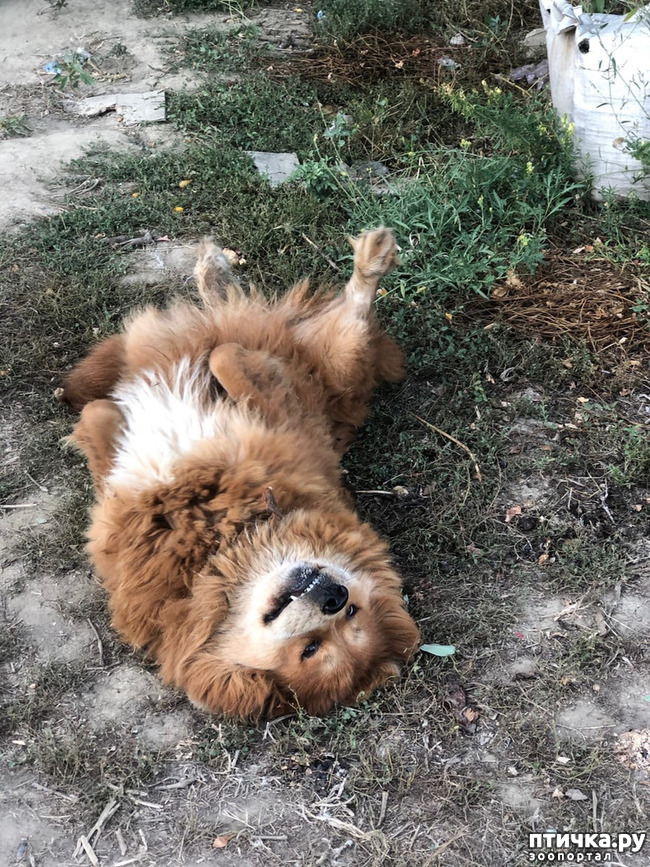 ���� 34: ����� ����������� ���.