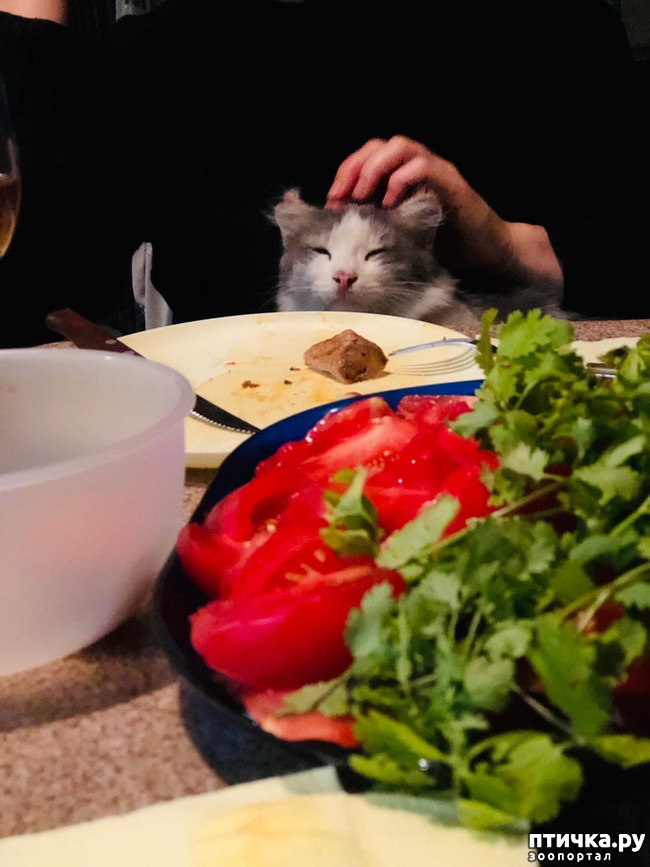 ���� 28: ����� ����������� ���.