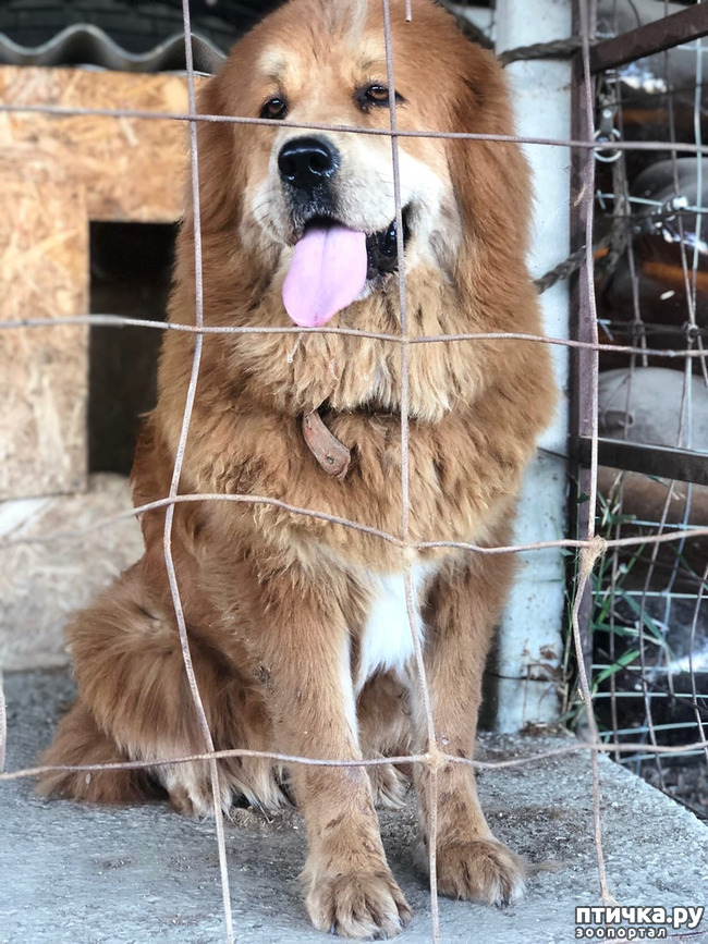 ���� 11: ����� ����������� ���.