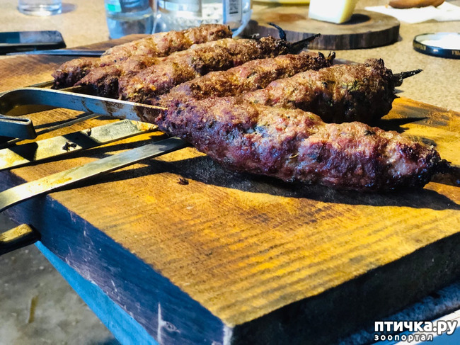 ���� 13: ����� ����������� ���.