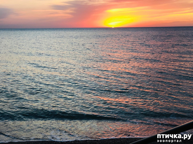 ���� 35: ����� ����������� ���.