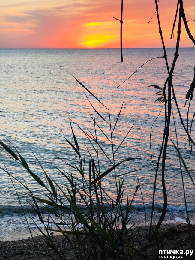 ���� 36: ����� ����������� ���.