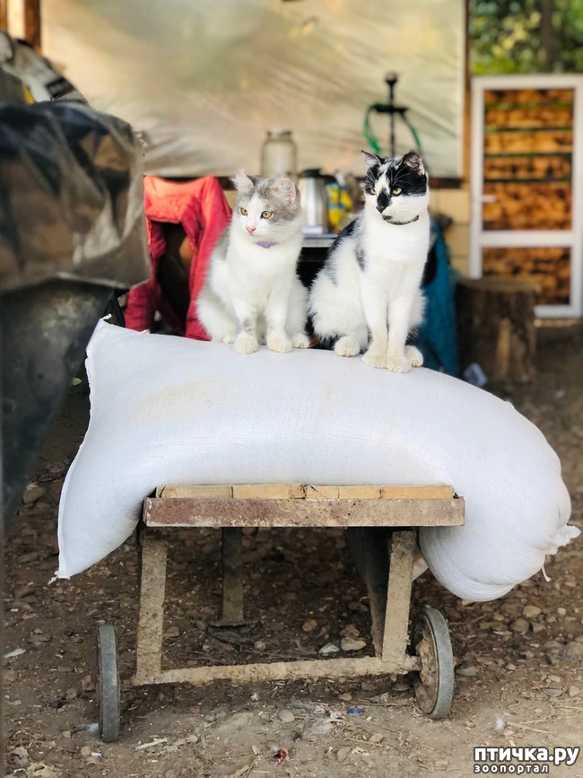 ���� 14: ����� ����������� ���.