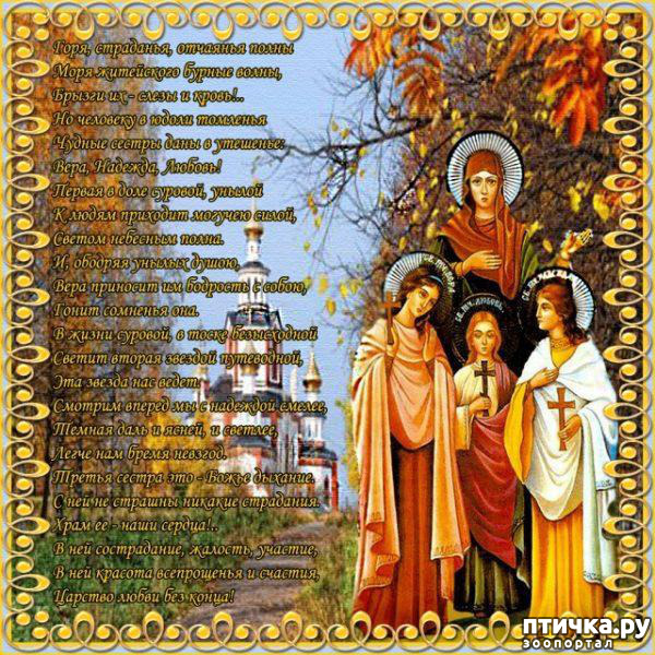 ���� 3: ������� �������!