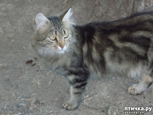 ���� 15: ����� ����������� ���.