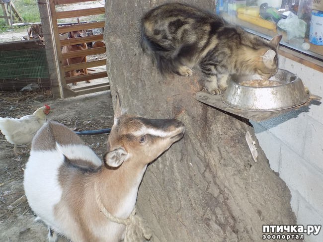 ���� 16: ����� ����������� ���.