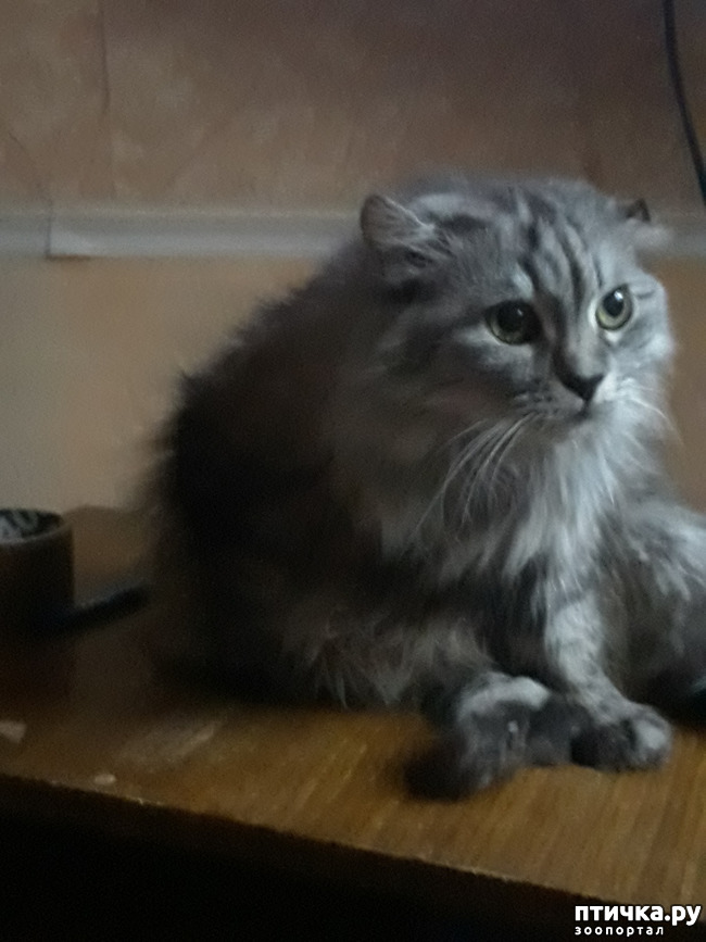  3:    )))