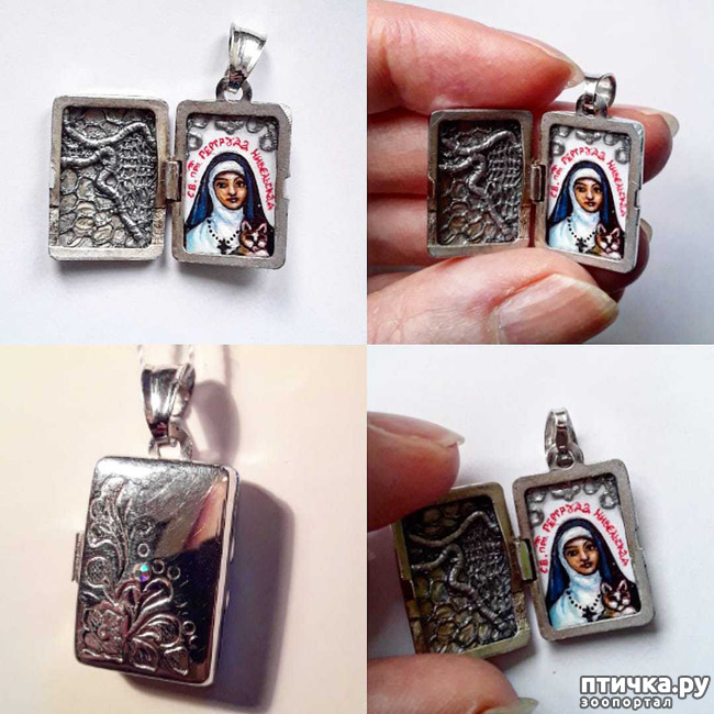 ���� 1: �������� � �������� ��. �������� ����������, ��������������� �����.