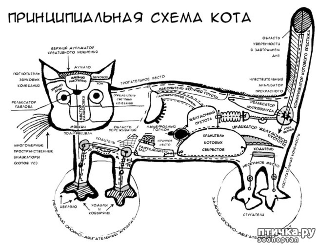  1:    )))