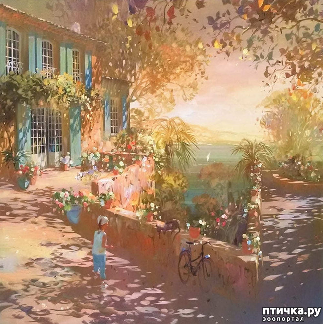  7:    
