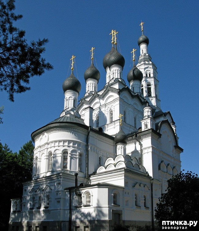 фото 4: Дорога без конца